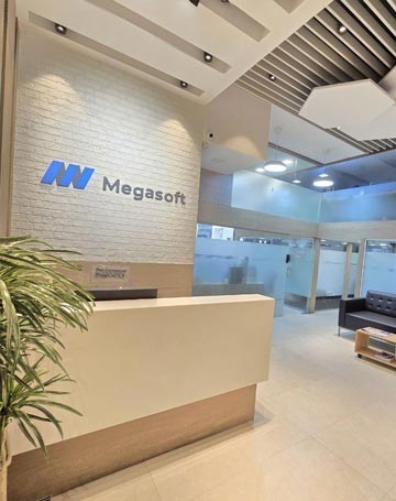Megasoft